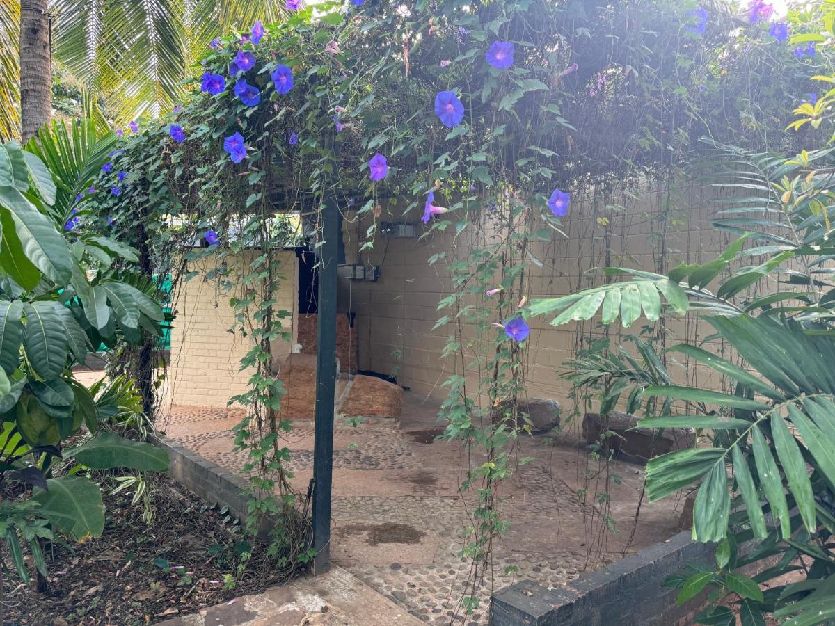 Chikoo Farm Inn บังกาลอร์ ภายนอก รูปภาพ